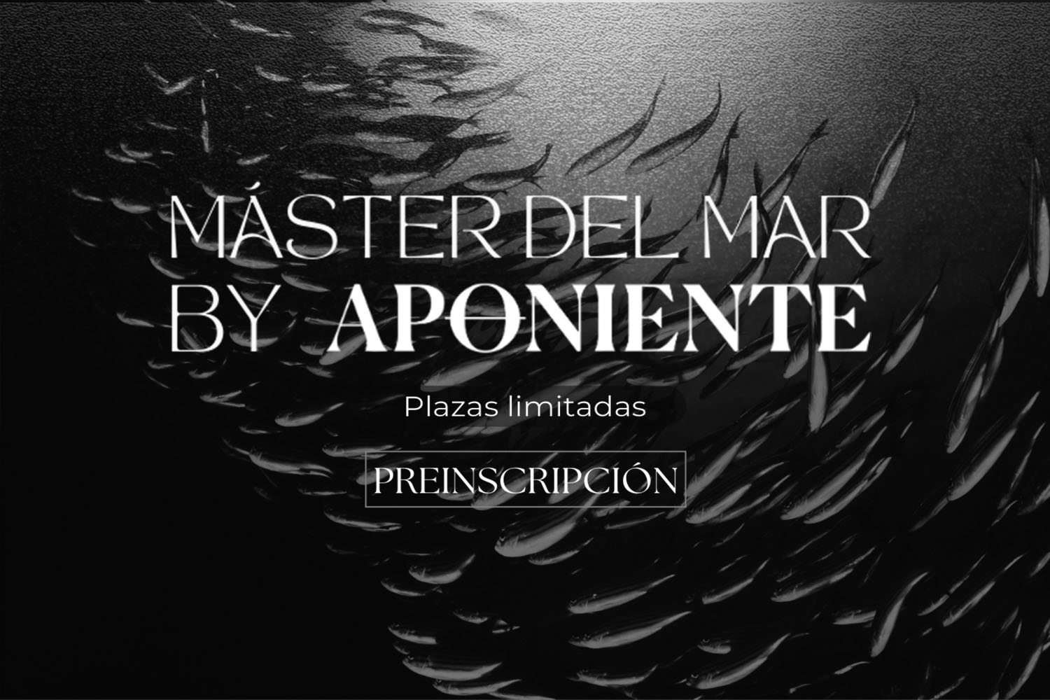 Máster del mar by Aponiente